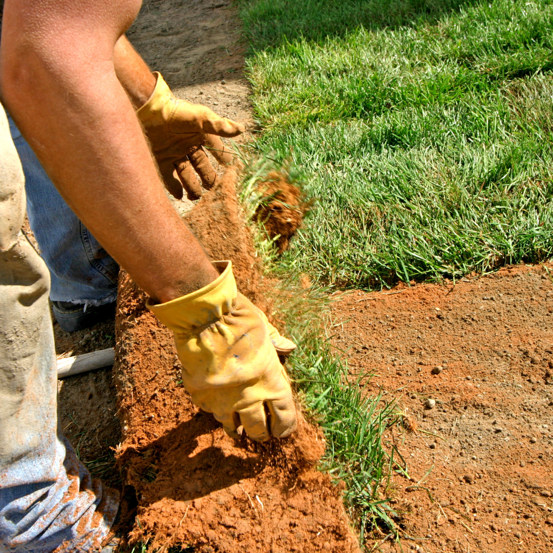 Landscaping