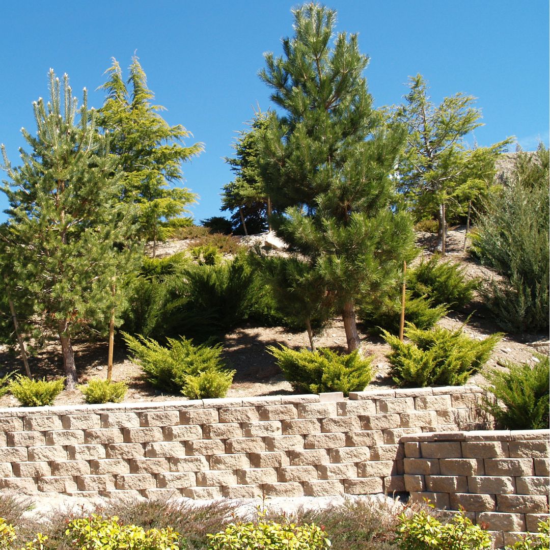 Retaining Wall